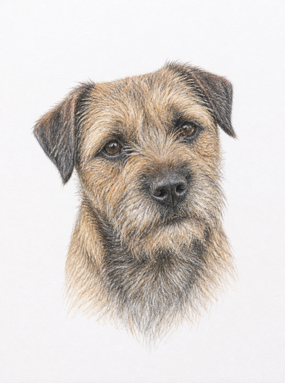 Personalised Digital Pet Portrait
