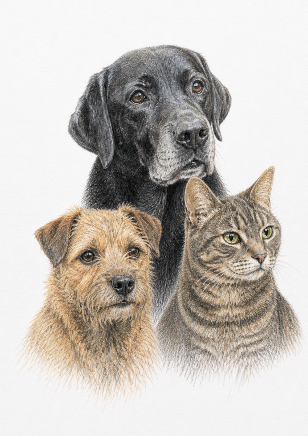 A4 colour-pencil group portrait of three pets