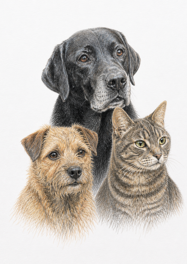Better together — pet portrait example